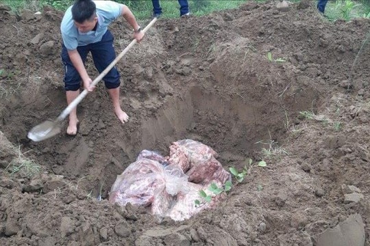 Tiêu hủy 6 tạ cổ, cánh gà đông lạnh không rõ nguồn gốc