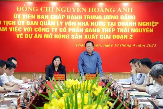 Quyết tâm sớm khôi phục Dự án Gang thép Thái Nguyên giai đoạn 2