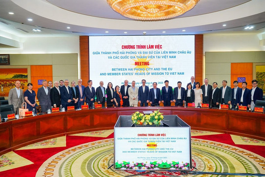 EU tìm hiểu lĩnh vực phát triển kinh tế xanh tại Hải Phòng