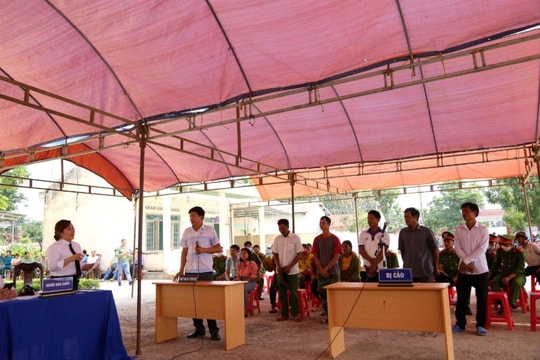 Xét xử lưu động vụ án hủy hoại rừng