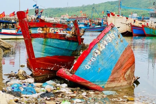Ô nhiễm môi trường nghiêm trọng ở cảng Sa Huỳnh