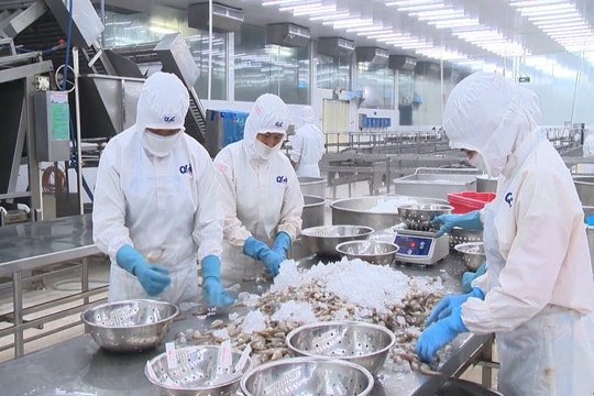 VNDirect: Xuất khẩu năm 2023 dự báo tăng trưởng âm 2%