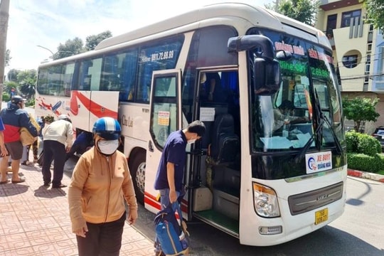 Quảng Ngãi: Hàng trăm phương tiện vận tải bị  thu hồi phù hiệu