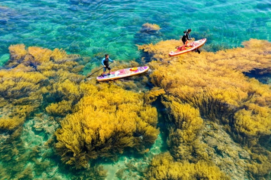 Gợi ý những điểm đến hấp dẫn trong dịp nghỉ lễ Giỗ Tổ, 30/4 & 1/5 tại Quy Nhơn - Bình Định