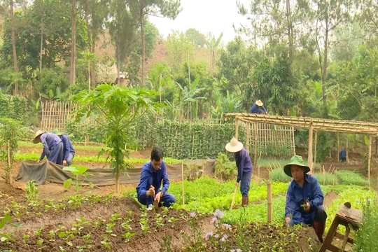Sơn La: Làm tốt công tác cai nghiện cho người nghiện ma túy