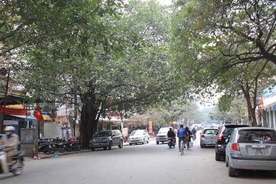 Hà Nội thí điểm điều chỉnh tổ chức giao thông đường Quốc Tử Giám