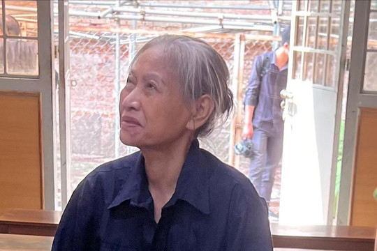 Chiếm đoạt tài sản rồi bỏ trốn 29 năm