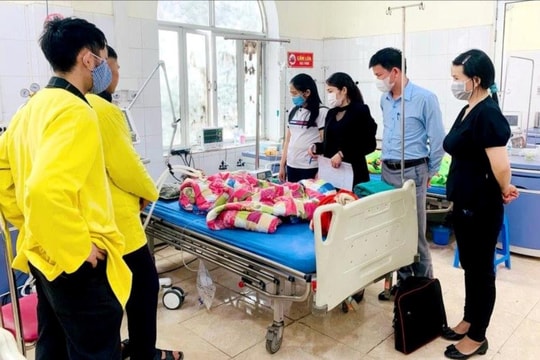 Ăn hoa quả rừng, 8 người ở Hà Giang bị ngộ độc