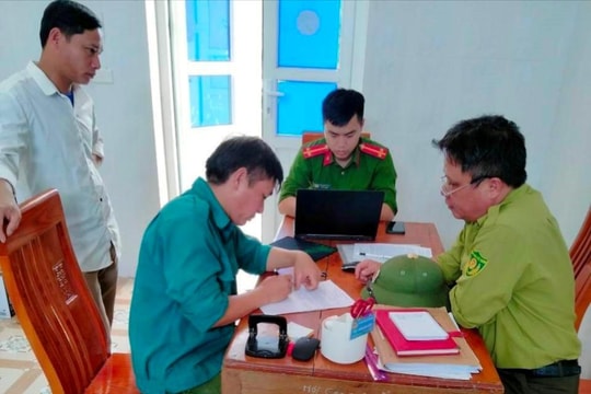 Phạt tiền đối tượng chặt phá rừng trái phép