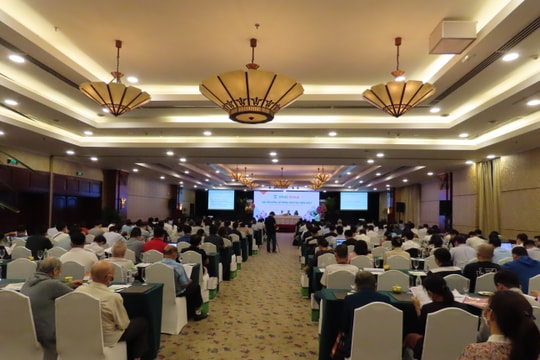Hoàng Anh Gia Lai: Tập trung phát triển ngành cây ăn trái và chăn nuôi