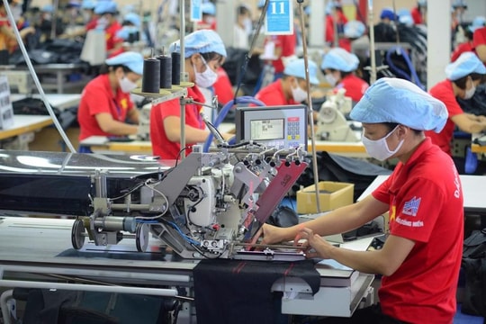 Thiết thực chăm lo, bảo vệ người lao động