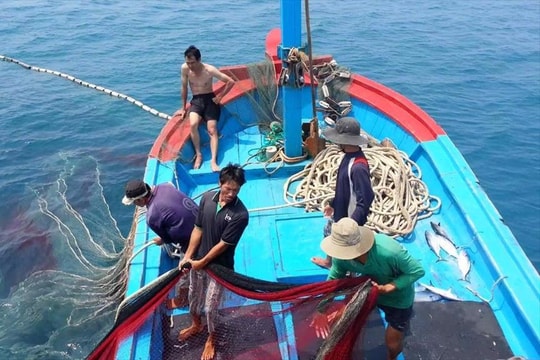 Triển khai quyết liệt, hiệu quả các giải pháp khắc phục thẻ vàng IUU