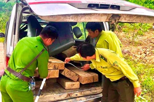 Quảng Ngãi: Phát hiện, thu giữ 2 xe ô tô cùng hơn 2 khối gỗ lậu