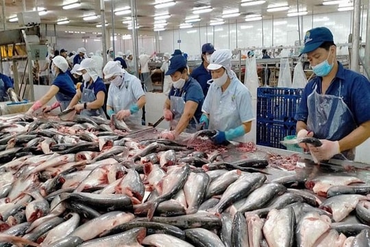 Xuất khẩu thủy sản tháng 4/2023 sụt giảm 28%