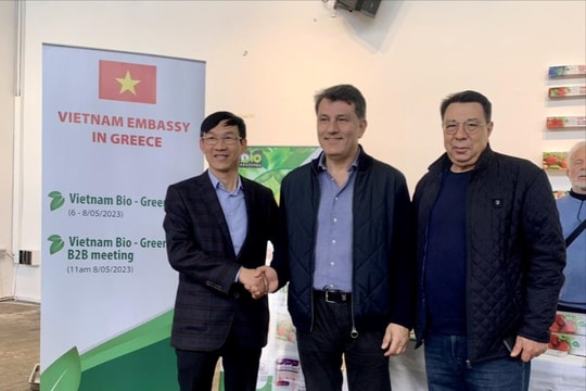 Eco-green 2: Đưa nông sản Việt tới thị trường Hy Lạp