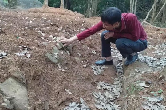 Thăm dò, khai quật khảo cổ tại di tích chùa Am Các