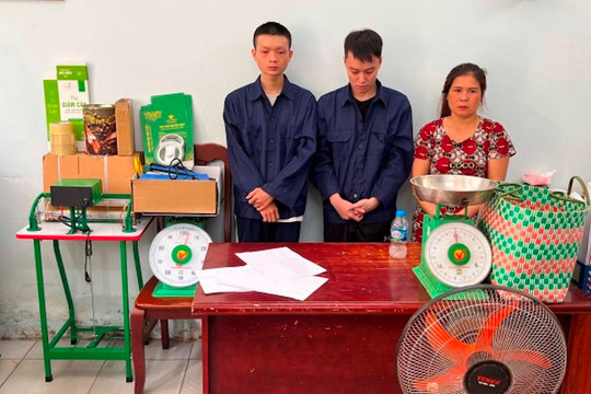 Bắt ba đối tượng trồng, mua bán cần sa
