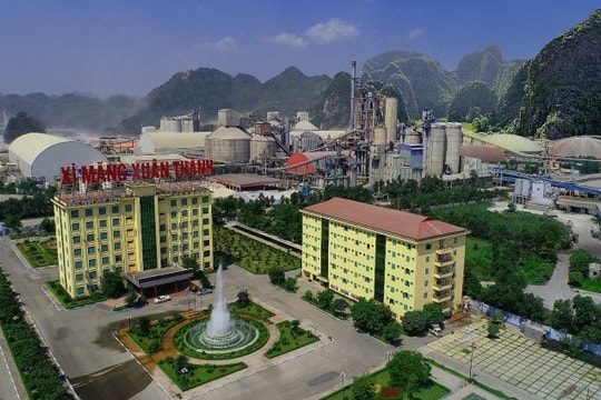 Bộ TN&MT sẽ thanh tra hàng loạt doanh nghiệp xi măng trong năm 2023