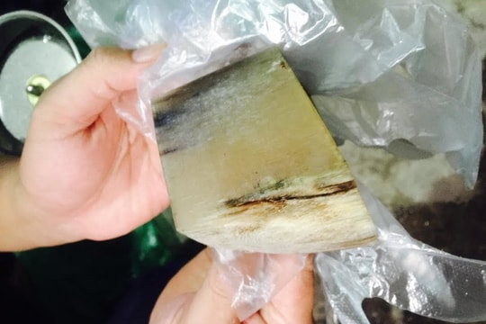 3 đối tượng bị phạt tù vì buôn sừng tê giác