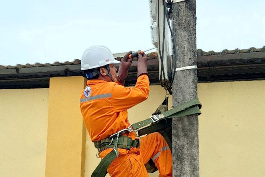 Tồn tại nhiều vi phạm hành lang lưới điện cần sớm được xử lý