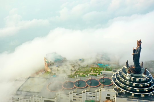 “Mũ mây” siêu hiếm tái xuất tại núi Bà Đen Tây Ninh