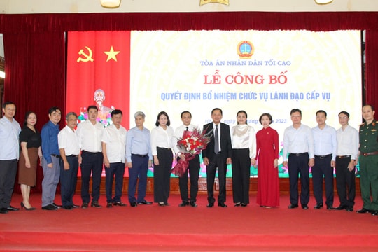 Bổ nhiệm Phó Vụ trưởng Vụ Giám đốc kiểm tra II TANDTC
