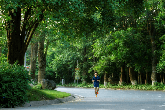 Mùa hè xanh ngắt ở Ecopark