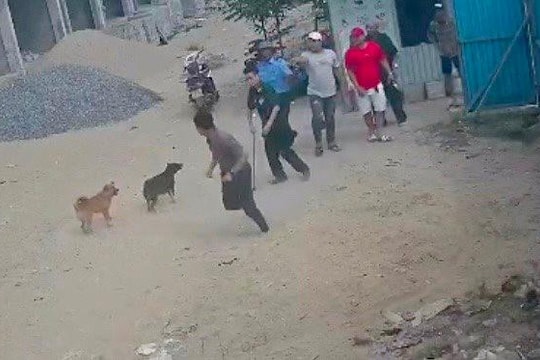 Về vụ “Giám đốc và thuộc cấp bị hành hung ở công trình dự án chợ Lăng Cô”: Hợp tác xã Nam Việt - Lăng Cô nói gì?