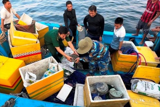 Tạm giữ nhiều đồ gốm sứ nghi cổ vật bị chìm đắm trên biển