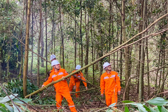 Bảo đảm hành lang an toàn lưới điện trên địa bàn tỉnh Thanh Hóa - Hiệu quả không chỉ đến từ nỗ lực của ngành Điện