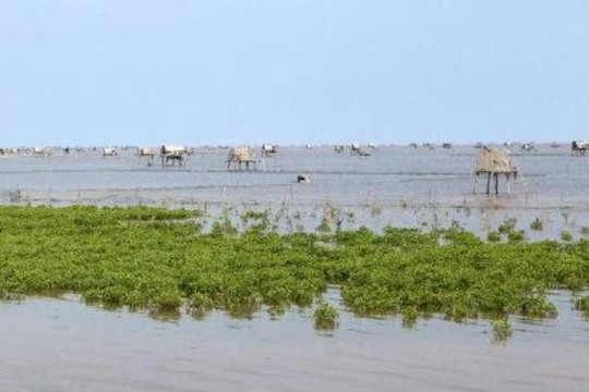 Trải nghiệm tại vườn quốc gia, 1 học sinh và 1 phụ huynh đuối nước tử vong