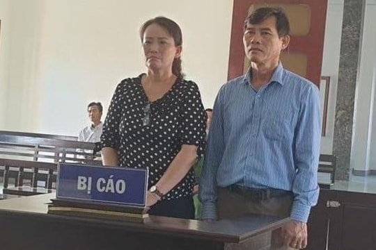 Giám đốc và kế toán gây thất thoát gần 900 triệu đồng