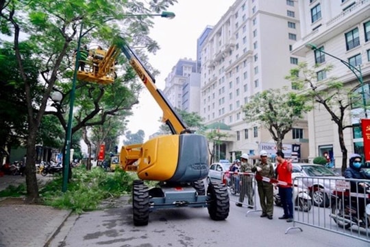 Cắt tỉa cây xanh, hạn chế nguy cơ gãy đổ trong mùa mưa bão