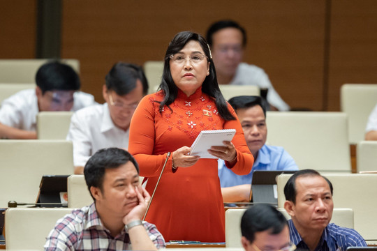ĐBQH: Tránh trùng lắp, chồng chéo trong hoạt động giám sát