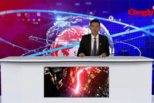 Bản tin toàn cảnh