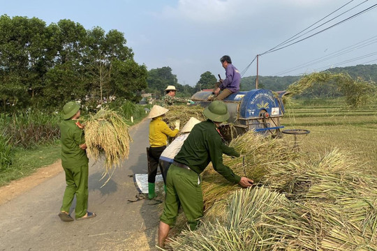 Lực lượng Công an xã giúp dân gặt lúa chạy mưa