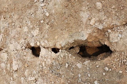 Dự án đê gần 65 tỷ đồng đang thi công bị sụt lún, nứt gãy