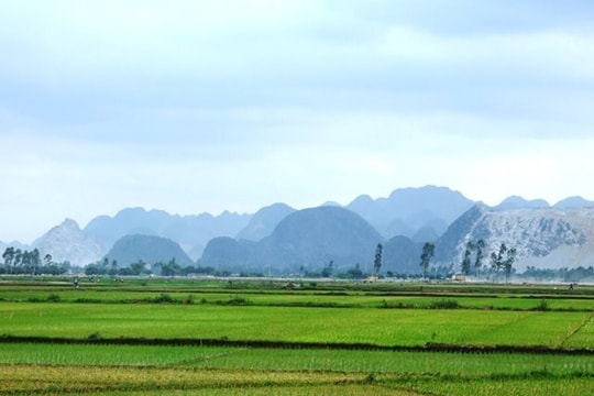 Tây Ninh phấn đấu năm 2030 phát triển 20 vùng nông nghiệp UDCNC