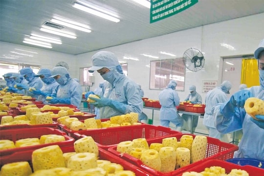Xuất khẩu rau quả tăng đột biến