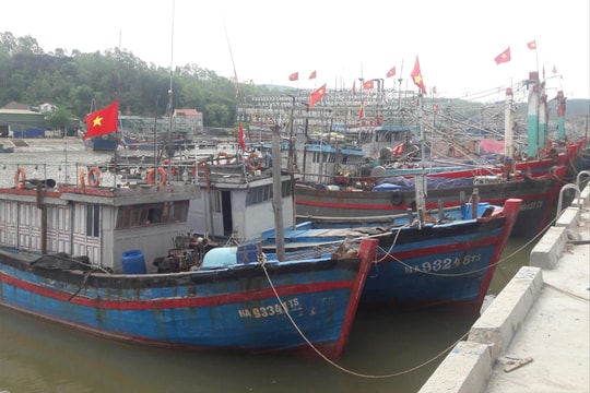Ngư dân gặp khó trên những con “tàu 67”