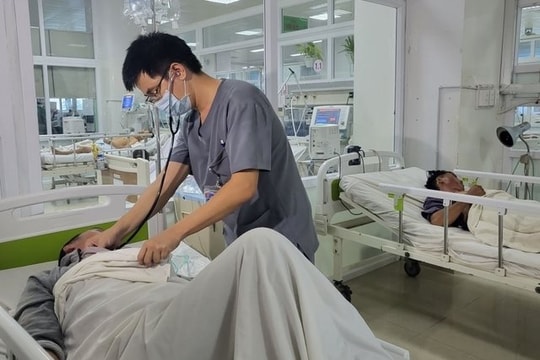 6 người nhập viện vì ăn nấm mọc từ xác nhộng ve sầu
