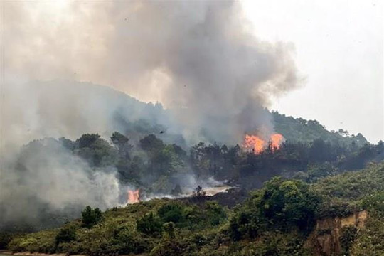 Quảng Ninh: Cháy rừng khiến hai người dân tử vong