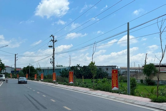 Hải Phòng: Cây xanh hai bên đường NTM kiểu mẫu tại xã An Hồng “chết khô”