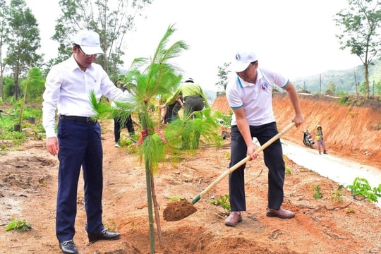 Thành phố Kon Tum quyết tâm phủ xanh hàng nghìn hecta rừng