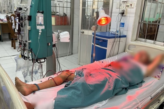 Uống rượu ngâm nấm, 7 người bị ngộ độc