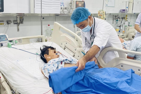 Hai mẹ con nhập viện sau khi ăn nhộng ve sầu mọc nấm