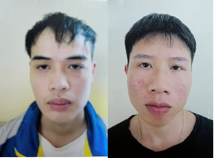 Vận chuyển ma túy dưới vỏ bọc thảo mộc khô