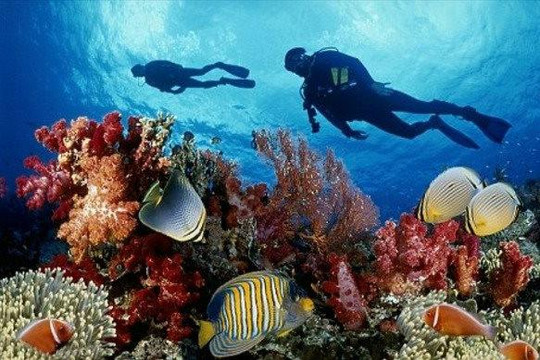 4 địa điểm lặn ở Việt Nam được báo nước ngoài gợi ý