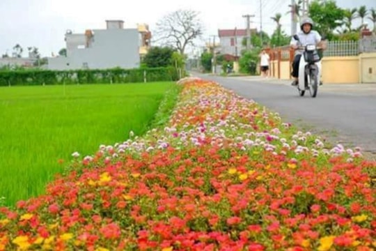 Bình yên từ những mô hình tự quản