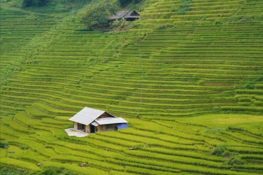 Báo Ấn Độ ca ngợi ruộng bậc thang ở Sa Pa
